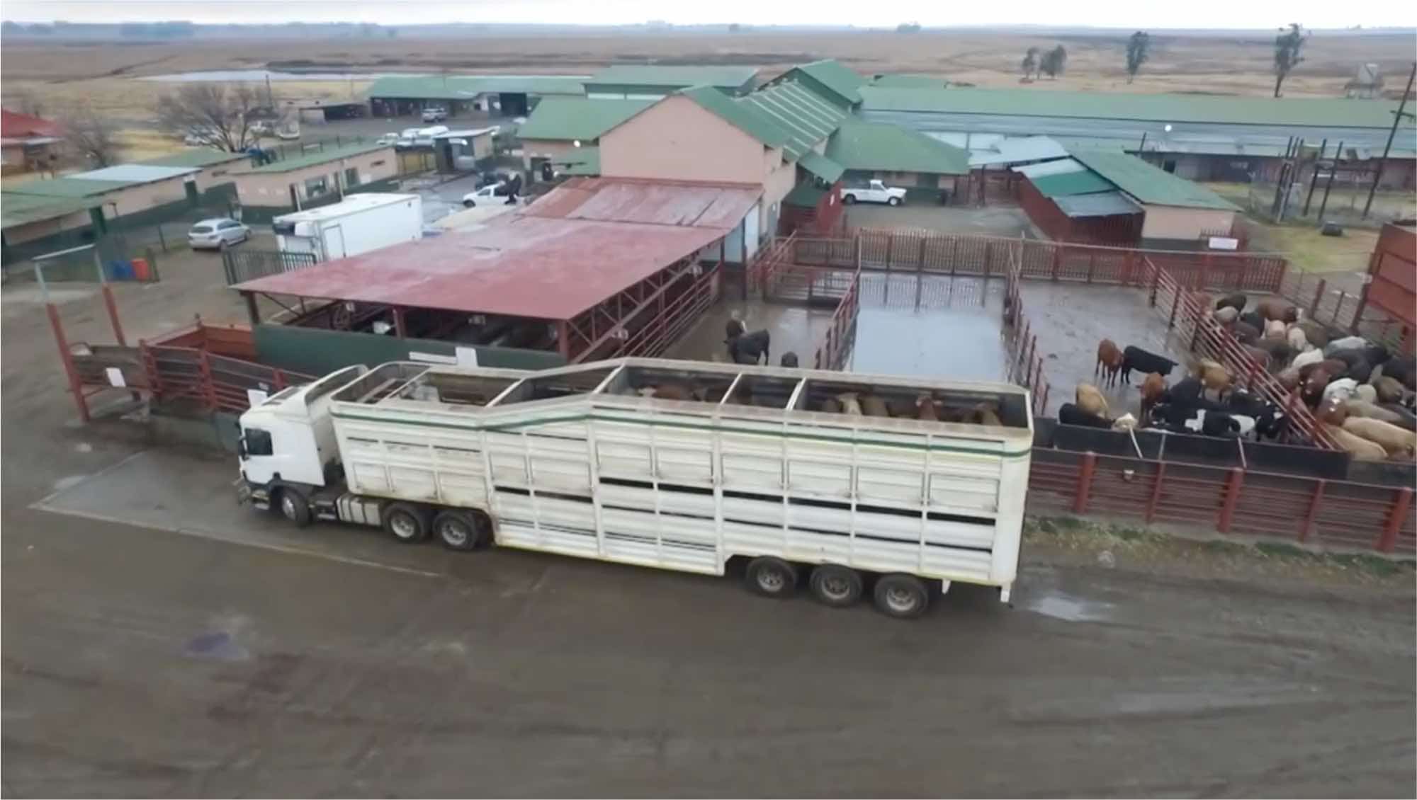 Devon Meat facility — image 3 of 19