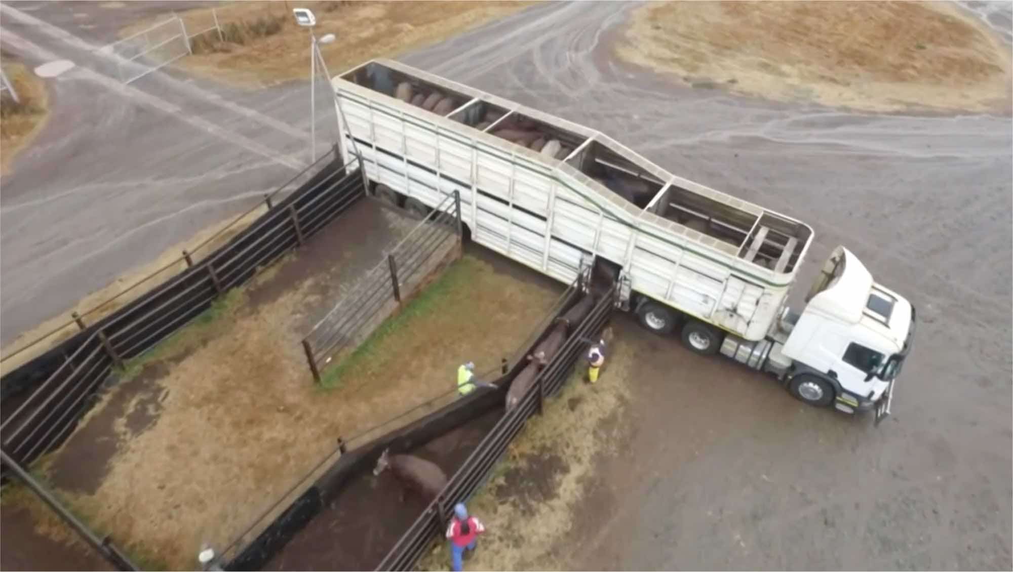 Devon Meat facility — image 4 of 19