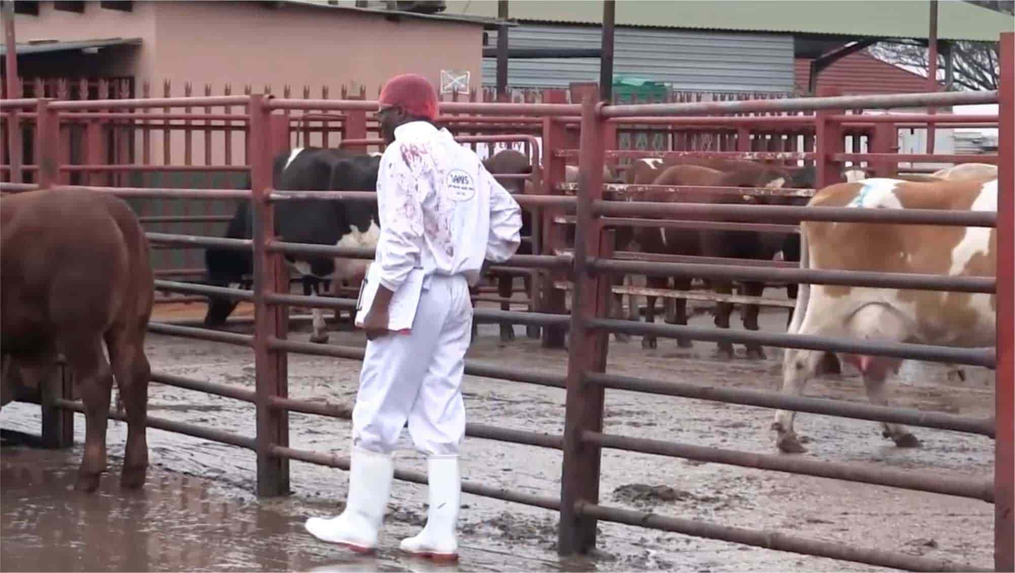 Devon Meat facility — image 7 of 19