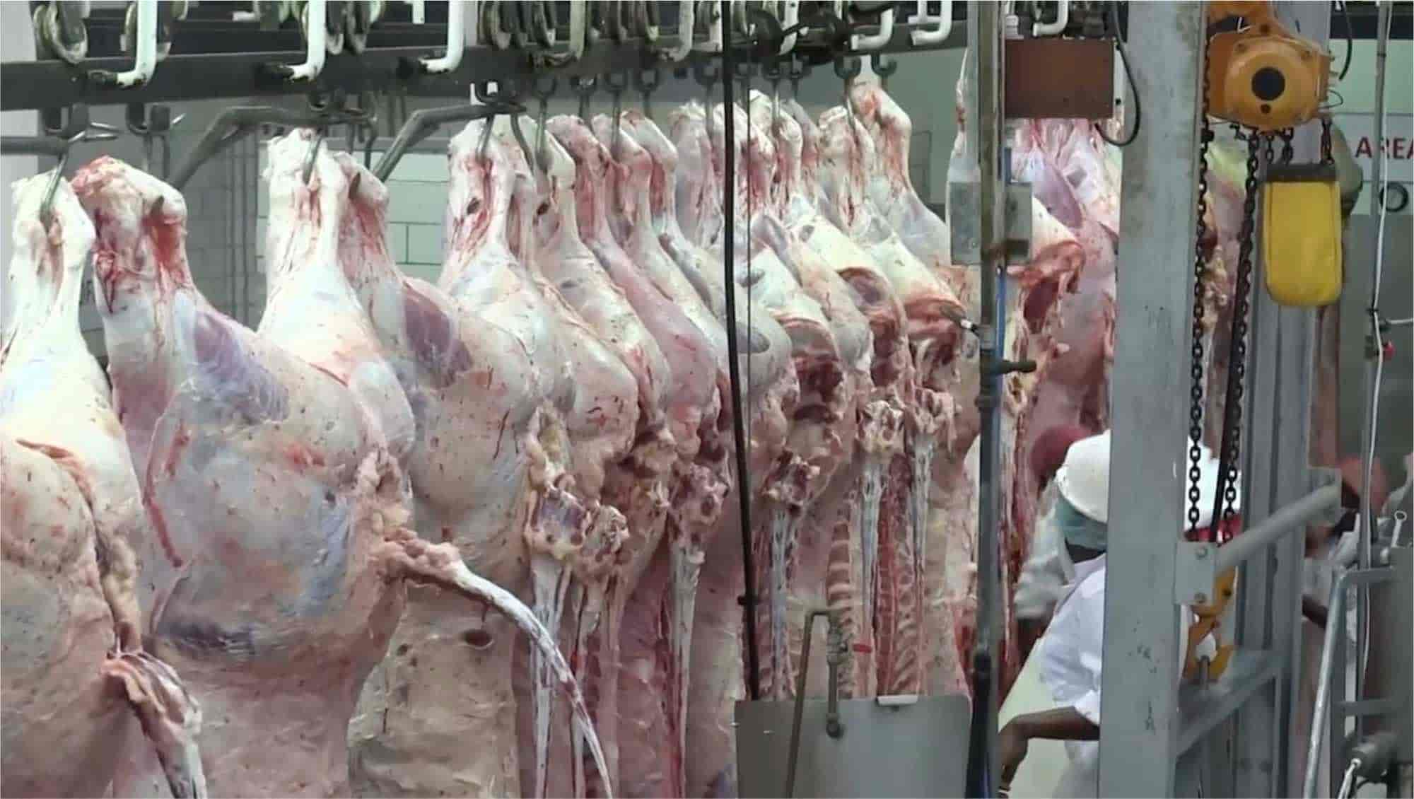 Devon Meat facility — image 11 of 19