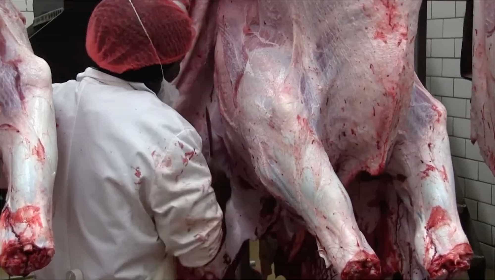 Devon Meat facility — image 12 of 19