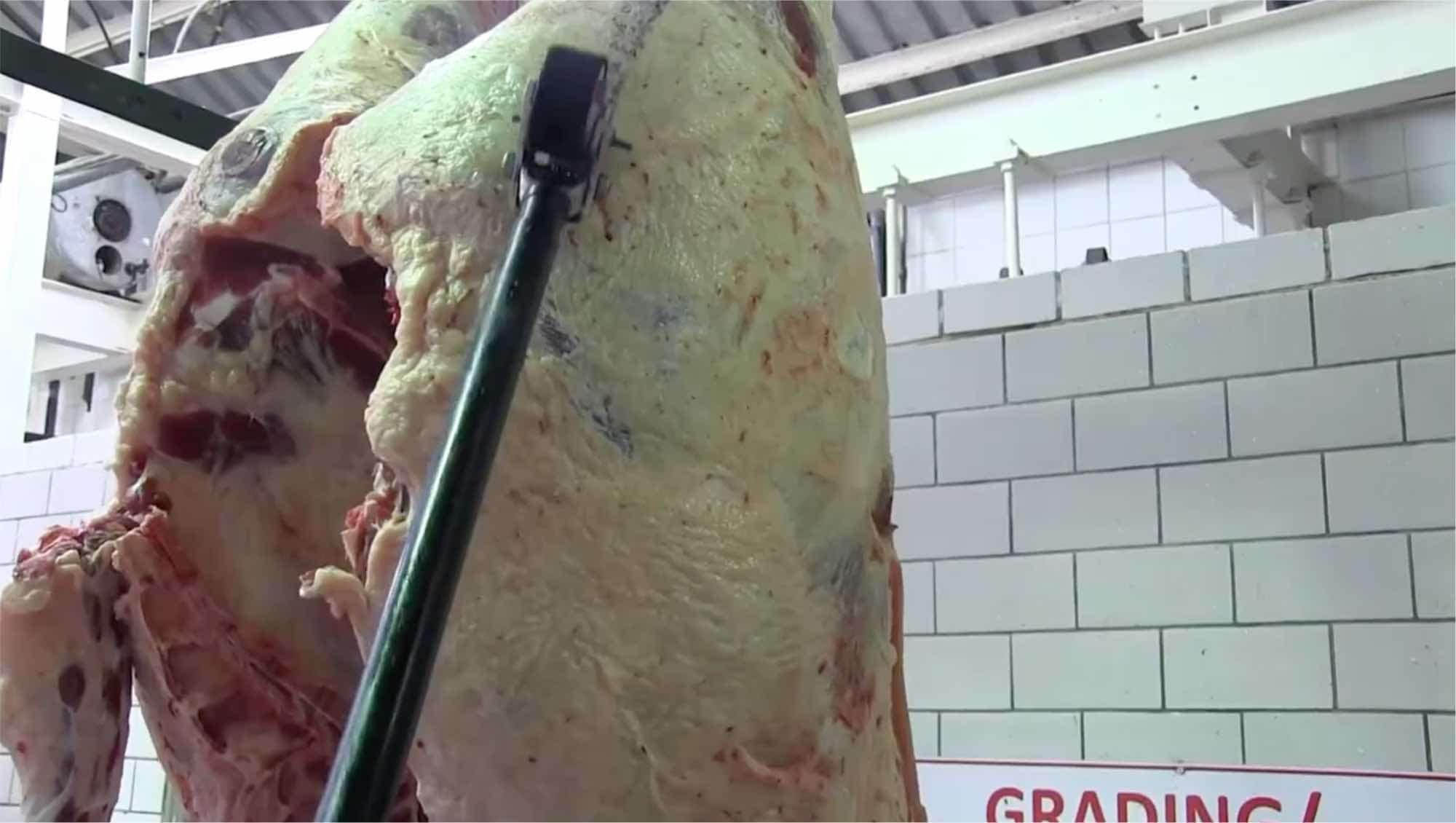Devon Meat facility — image 15 of 19