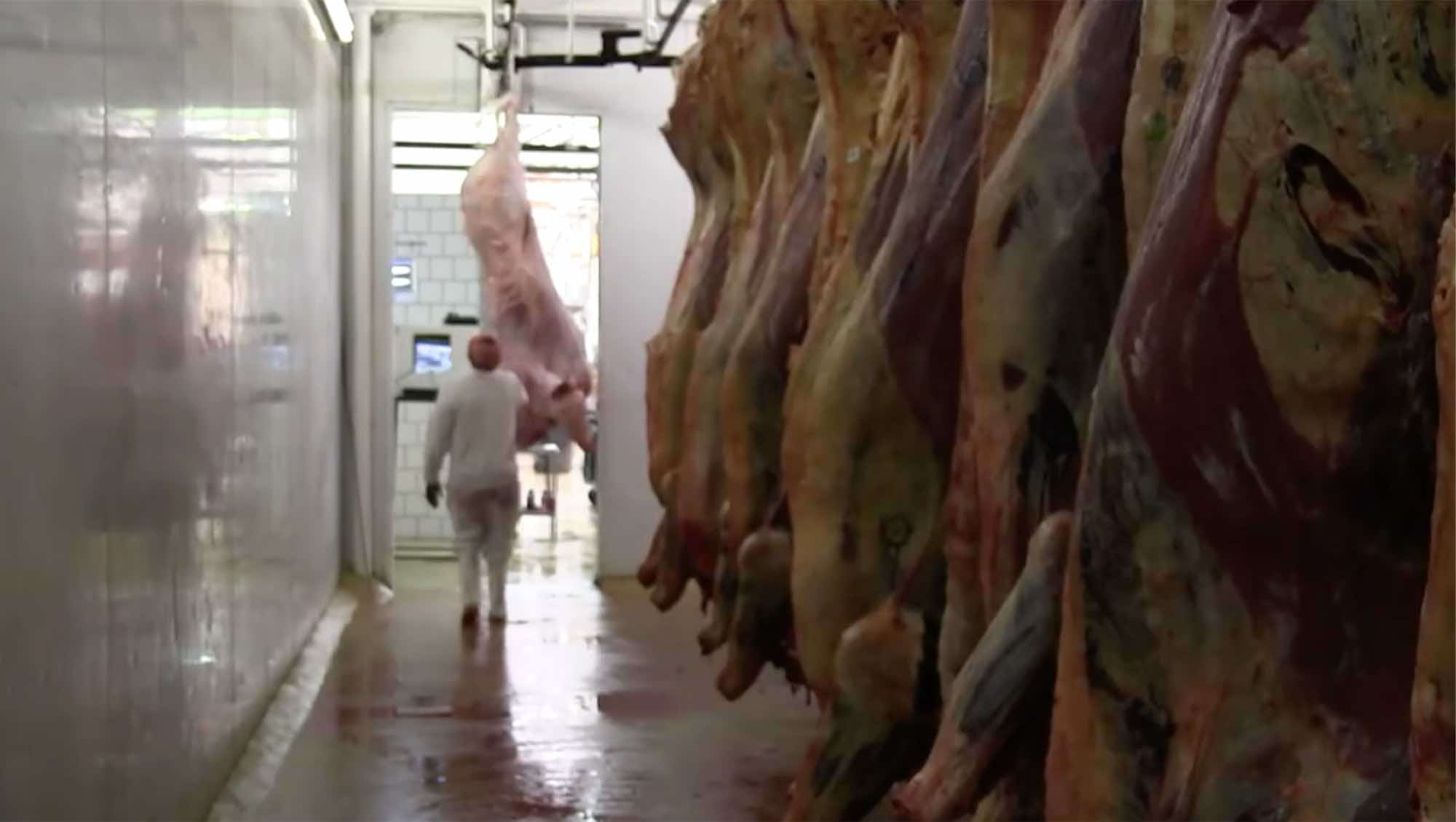 Devon Meat facility — image 16 of 19