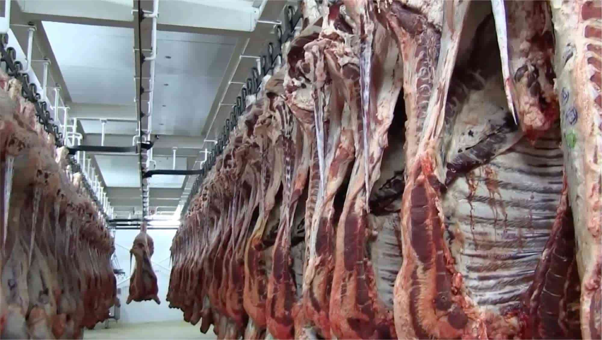 Devon Meat facility — image 17 of 19
