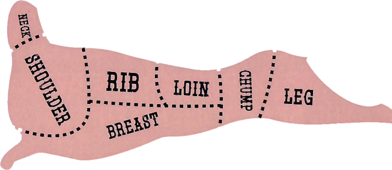Lamb cut diagram